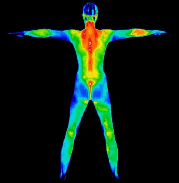 What is Thermography?